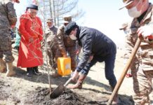 Сурвалжлага: Цэргийнхэн шүтээн хайрхандаа 20 мянган мод тарилаа