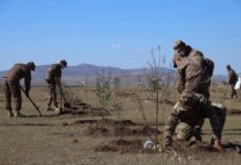 “ТЭРБУМ МОД” ТАРИХ АЖЛЫГ ЗЭВСЭГТ ХҮЧНИЙ АЛБА ХААГЧИД ЭХЛҮҮЛЛЭЭ