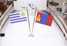 ЭЛЧИН САЙД ФЕРНАНДО ЛУГРИСЫГ ХҮЛЭЭН АВЧ УУЛЗАВ