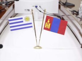 ЭЛЧИН САЙД ФЕРНАНДО ЛУГРИСЫГ ХҮЛЭЭН АВЧ УУЛЗАВ