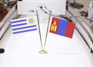 ЭЛЧИН САЙД ФЕРНАНДО ЛУГРИСЫГ ХҮЛЭЭН АВЧ УУЛЗАВ