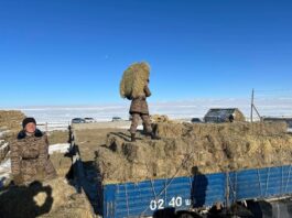 МОРЬТОН ДАЙЧИД “МАЛЧДАДАА ТУСАЛЪЯ” АЯНЫГ ӨРНҮҮЛЖ БАЙНА