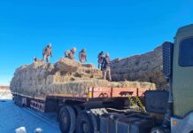 “ЦЭРГИЙН ЗАЛУУС ЦАЙЛЖ АМЖИЛГҮЙ ЭРГЭЭД МОРДЛОО”