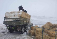 AЛБА ХААГЧИД МАЛЧДАД ТУСАЛСААР БАЙНА