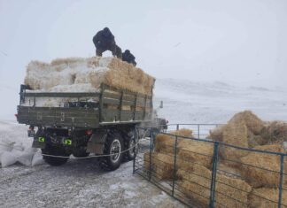 AЛБА ХААГЧИД МАЛЧДАД ТУСАЛСААР БАЙНА