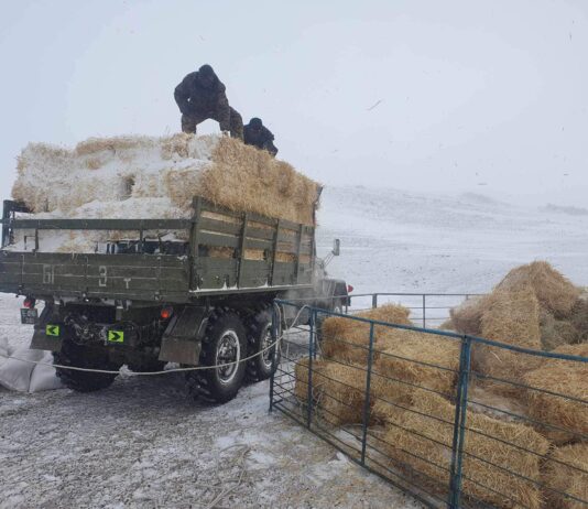 AЛБА ХААГЧИД МАЛЧДАД ТУСАЛСААР БАЙНА