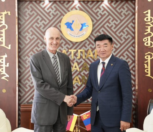 ДЭЛХИЙН ЖИШИГ УУЛЫН ЦЭРГИЙН АНГИТАЙ БОЛОХ ТАЛААР АНХААРЧ АЖИЛЛАНА