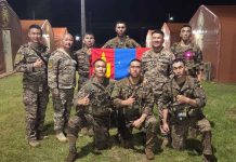 ДЭЛХИЙН ШИЛДГҮҮДТЭЙ ӨРСӨЛДӨЖ, МОНГОЛ ЦЭРГҮҮД ДЭД БАЙРТ ШАЛГАРЛАА
