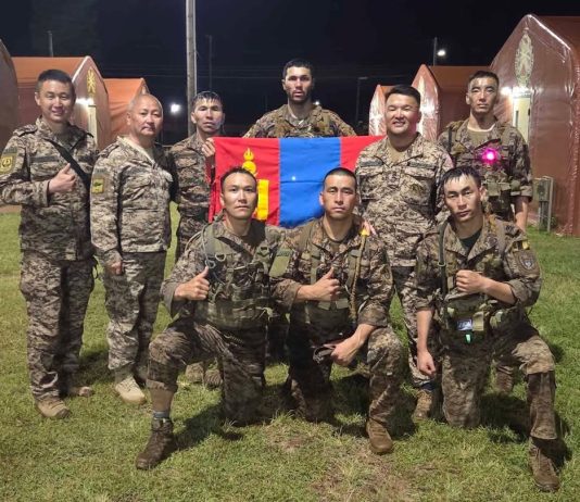 ДЭЛХИЙН ШИЛДГҮҮДТЭЙ ӨРСӨЛДӨЖ, МОНГОЛ ЦЭРГҮҮД ДЭД БАЙРТ ШАЛГАРЛАА